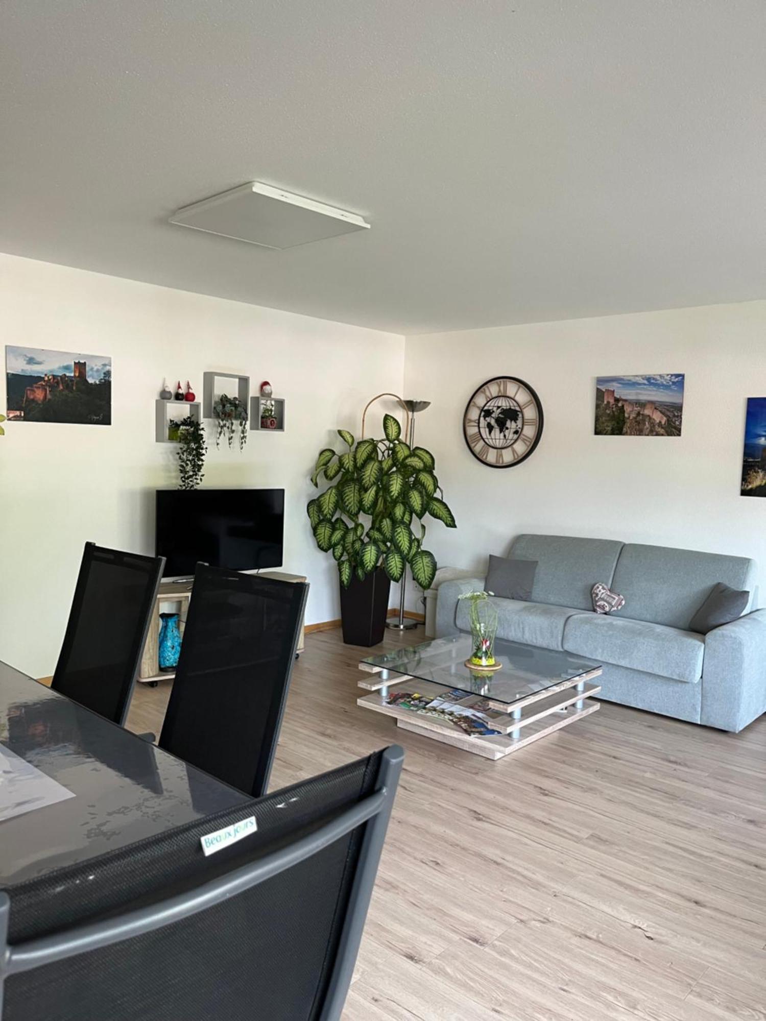 Apartamento L'Aiglon Ribeauvillé Exterior foto