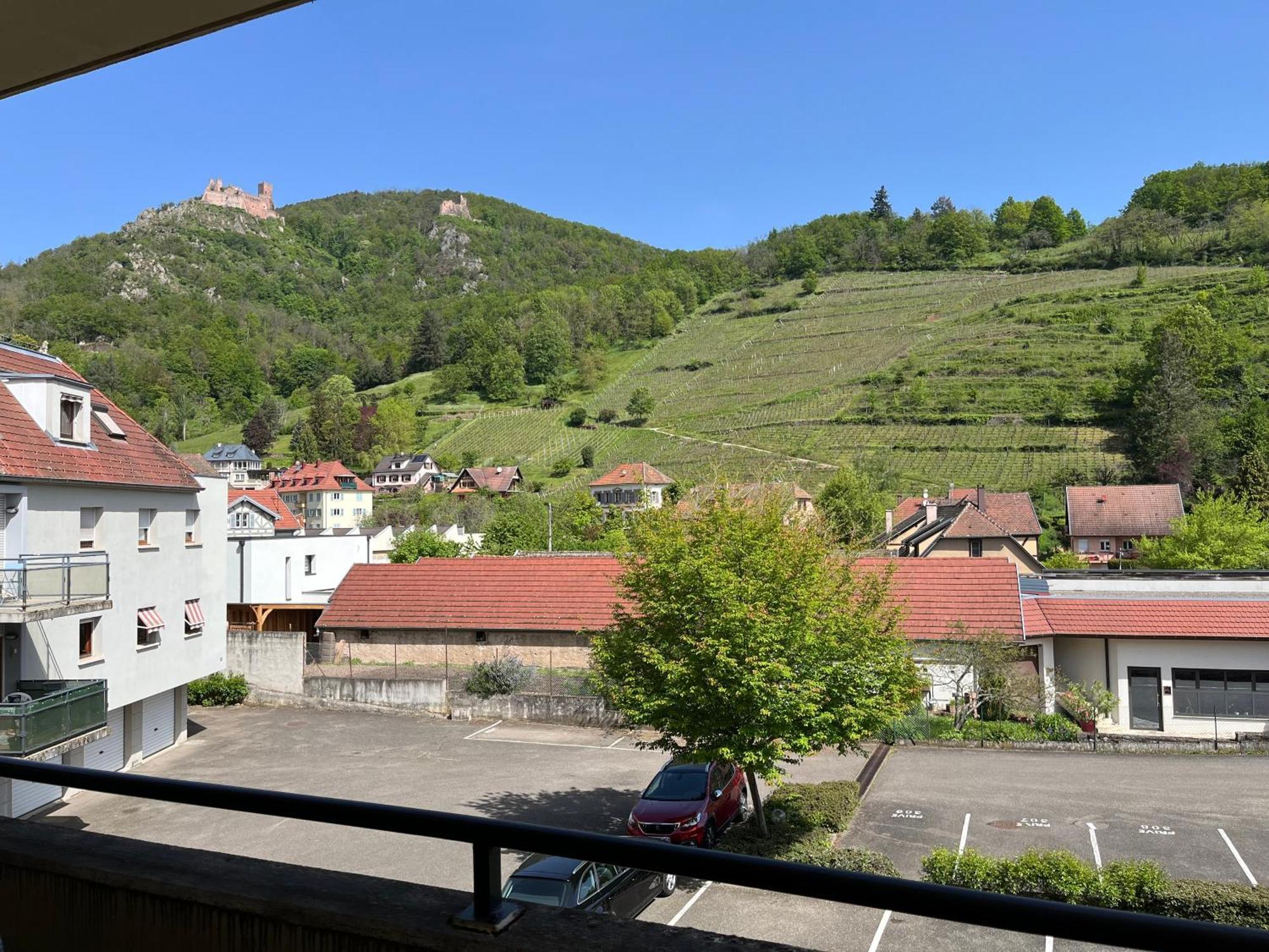Apartamento L'Aiglon Ribeauvillé Exterior foto