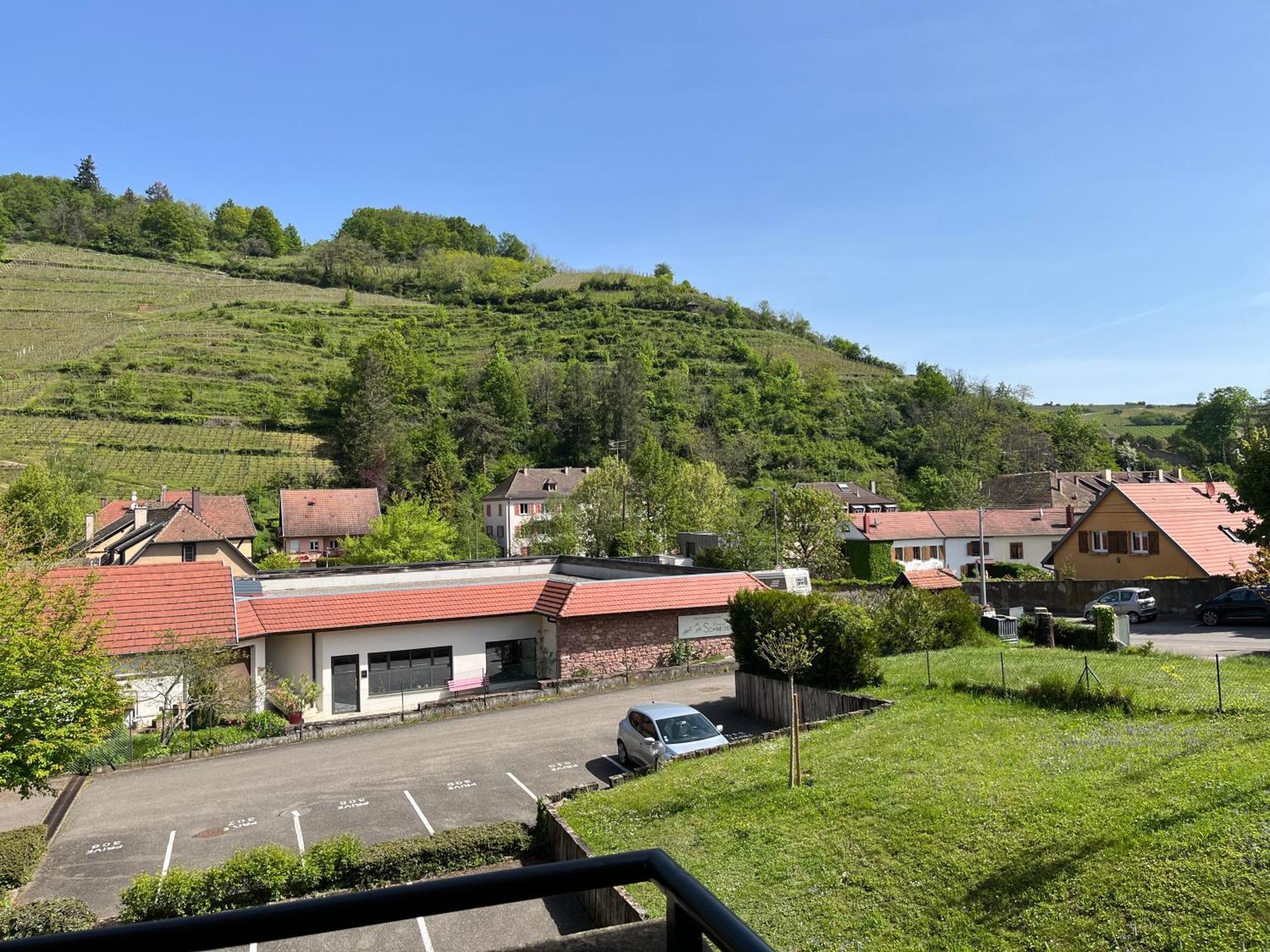 Apartamento L'Aiglon Ribeauvillé Exterior foto